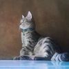 meowm1en1