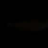 ashley_6158