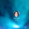 analema380