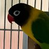 emilmale04