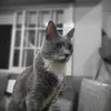 radio_1947