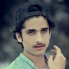 anas___msd___