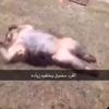 ياّسرً