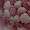 nhtrm86