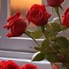 user514syed