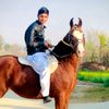 sharigujjar227