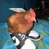 owenofficial60