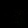 noor_1..1o