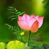 nguyenchi0611