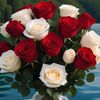 fahad173022