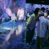 mokookoo_29