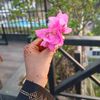 humira.h
