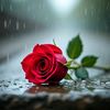 shiza.aziz8