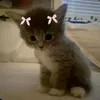 _zuzuniaa_