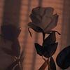 nuril_1303