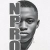 nproiceguard