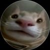 mrflaxe2