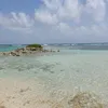 thiegole