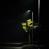ns__ar1