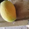 useruijzoszqqo