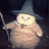 pedrinsaiko