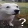 mrkuscant.think