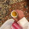 𓆩أبيات القصيد𓆪