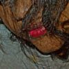 www.com.jass1989