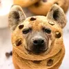 noodles_hyena