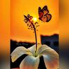 gerlita22_05_01
