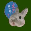 chibiibunniii
