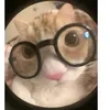 missy.plates