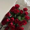 am_alyou