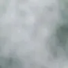 billybobshoktong