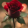 lifeisbeautiful4370