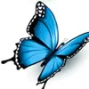 user770041693