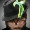 wallen_mck