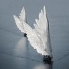 angelic_shapeshifter