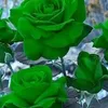 user3y7mcn7n2o