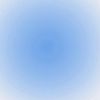 1not_alice