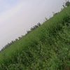 a78adffh