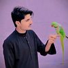 hamza_jani_010