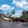 palavrasdvida