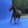 yaselanabutilku