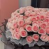 alnefaie_fatimah