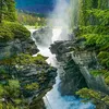 11_avalon_11