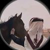 ibr_ah_im4