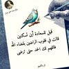 user3504756237088