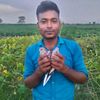 user2506366251951
