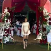 tocroi_1501